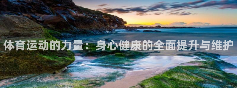 杭州意昂科技有限公司：体育运动的力量：身心健康的全面提升与维护