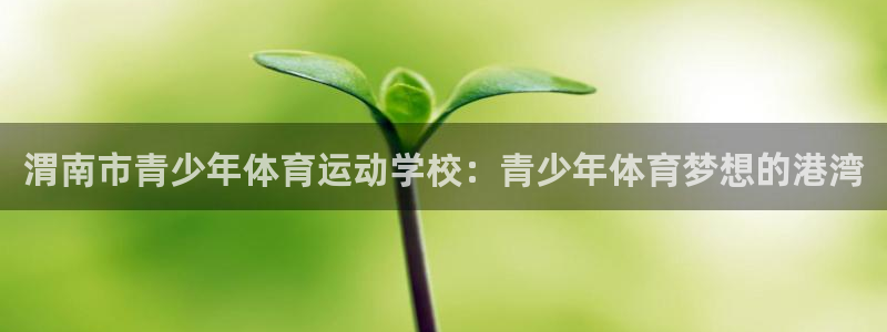 喜乐在线登录注册：渭南市青少年体育运动学校：青少年体育梦想的港湾