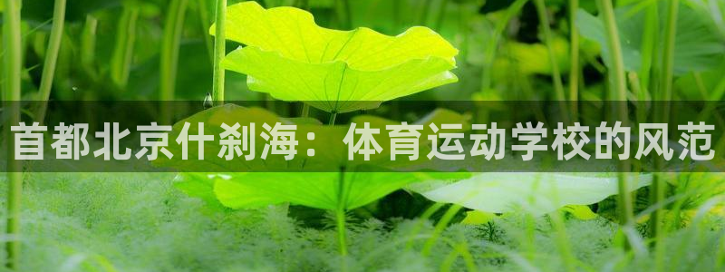 意昂体育3：首都北京什刹海：体育运动学校的风范