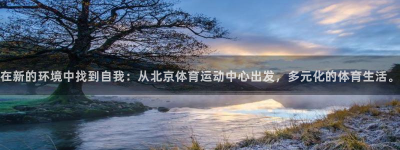 喜乐在线平台：在新的环境中找到自我：从北京体育运动中心出发，多元化的体育生活。