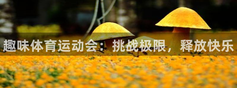 喜乐在线平台：趣味体育运动会：挑战极限，释放快乐