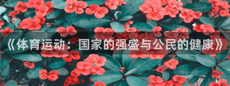 意昂4开户：《体育运动：国家的强盛与公民的健康》