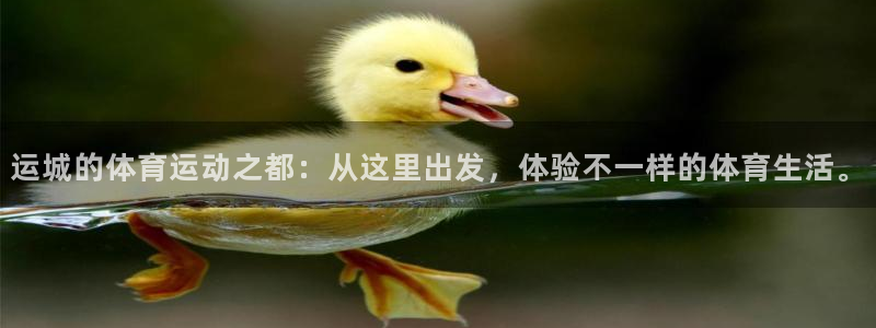 意昂注册：运城的体育运动之都：从这里出发，体验不一样的体育生活。