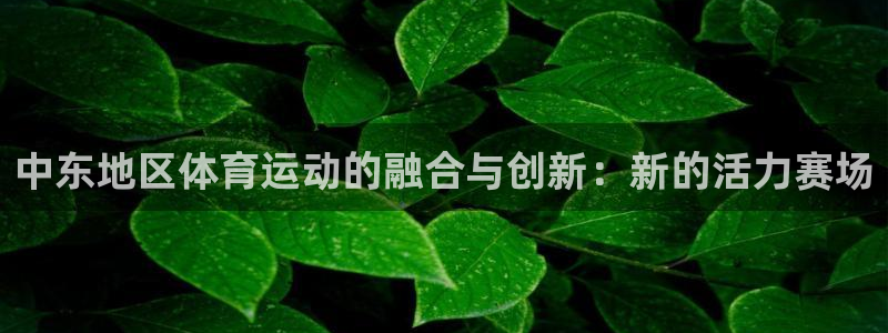 德国喜乐在线集团