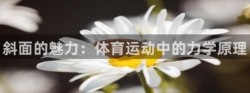 喜乐在线体育代理