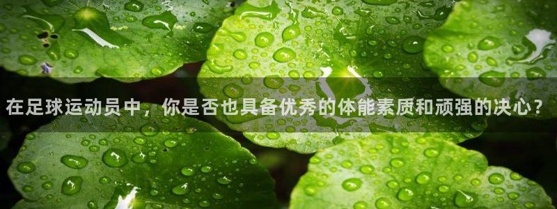喜乐在线主管：在足球运动员中，你是否也具备优秀的体能素质和顽强的决心？