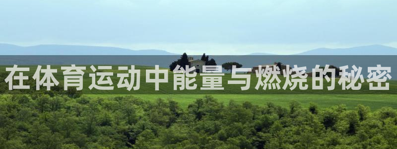 意昂3平台注册：在体育运动中能量与燃烧的秘密
