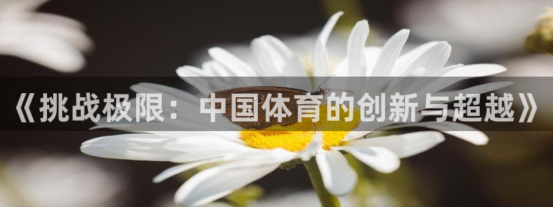 意昂3注册：《挑战极限：中国体育的创新与超越》