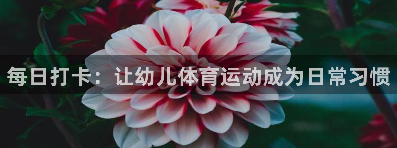 喜乐在线登录：每日打卡：让幼儿体育运动成为日常习惯