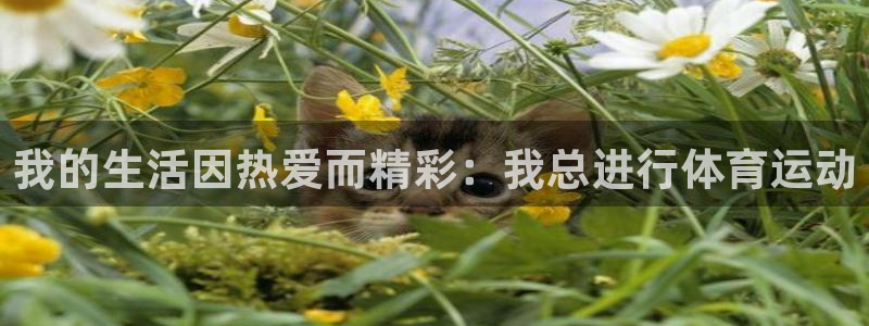 喜乐在线4平台注册：我的生活因热爱而精彩：我总进行体育运动