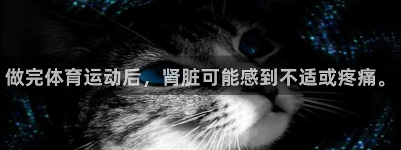 喜乐在线官网注册：做完体育运动后，肾脏可能感到不适或疼痛。