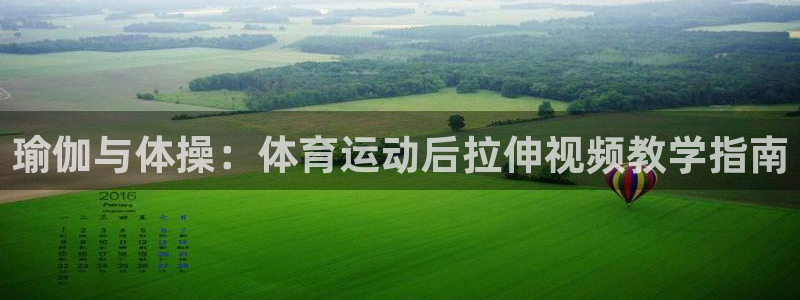 意昂工课：瑜伽与体操：体育运动后拉伸视频教学指南