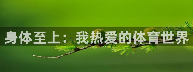 喜乐在线官网入口：身体至上：我热爱的体育世界