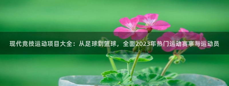 喜乐在线体育2：现代竞技运动项目大全：从足球到篮球，全面2023年热门运动赛事与