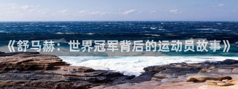 喜乐在线2代理注册：《舒马赫：世界冠军背后的运动员故事》