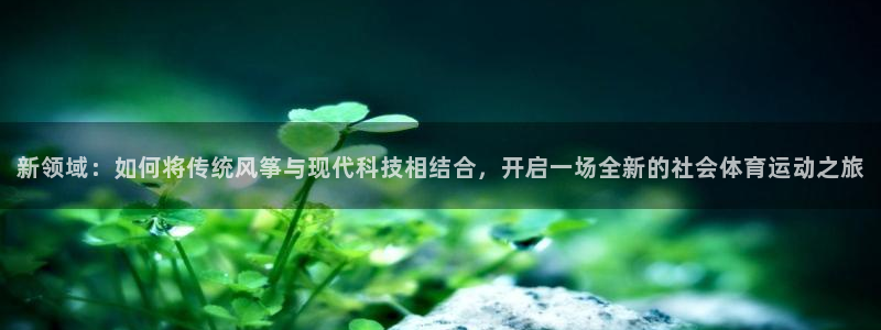 喜乐在线2平台注册：新领域：如何将传统风筝与现代科技相结合，开启一场全新的社会体