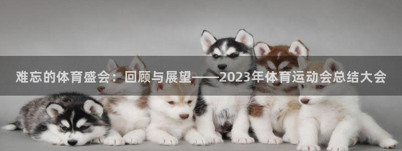 喜乐在线代理注册官网入口：难忘的体育盛会：回顾与展望——2023年体育运动会总结