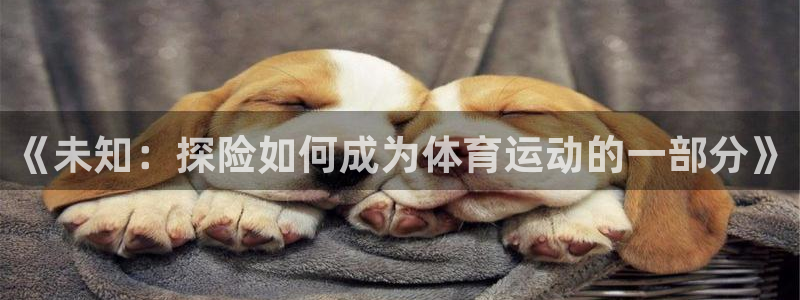 意昂平台注册：《未知：探险如何成为体育运动的一部分》