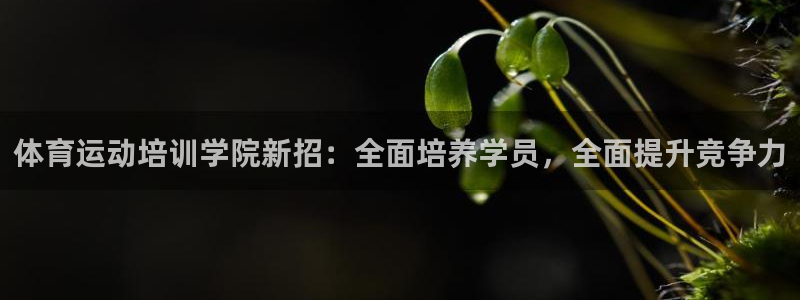意昂官网