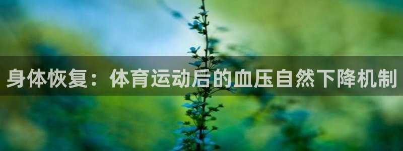 喜乐在线3官网