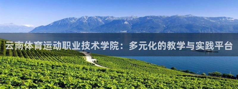 意昂4：云南体育运动职业技术学院：多元化的教学与实践平台